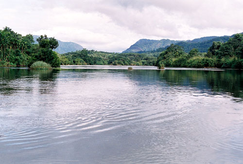 Periyar River infront of Periyar River Lodge